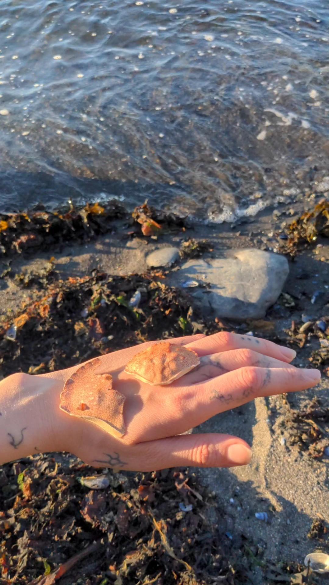 Petit objet flottant