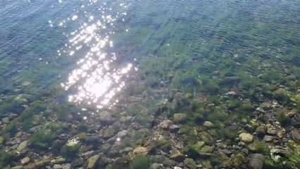 Petit objet flottant